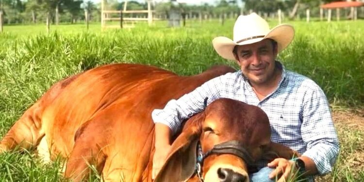 Crédito ganadero en Tabasco bajo señalamientos de contrabando de reses centroamericanas