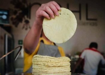 ¿Eres tortillero en Campeche? Este acuerdo te abre la puerta para bajar costos