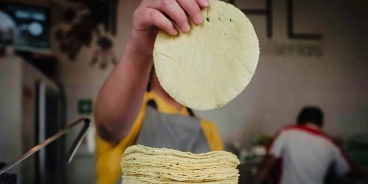 ¿Eres tortillero en Campeche? Este acuerdo te abre la puerta para bajar costos