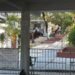 Alertan por reto viral en escuelas; activan operativo en Campeche