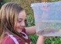 ¿Qué harías si encuentras un ajolote? Esto le pasó a una niña… ¡en Reino Unido!