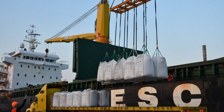 ¿Sabías que el azúcar de Campeche ya cruza el Golfo? Así es su ruta rumbo a EU
