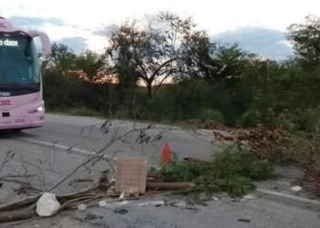 ¿Te tocó el bloqueo? Esto pasó en la Escárcega–Xpujil