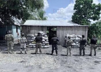 Así convierten la selva en carbón ilegal; autoridades aseguran más de 130 costales