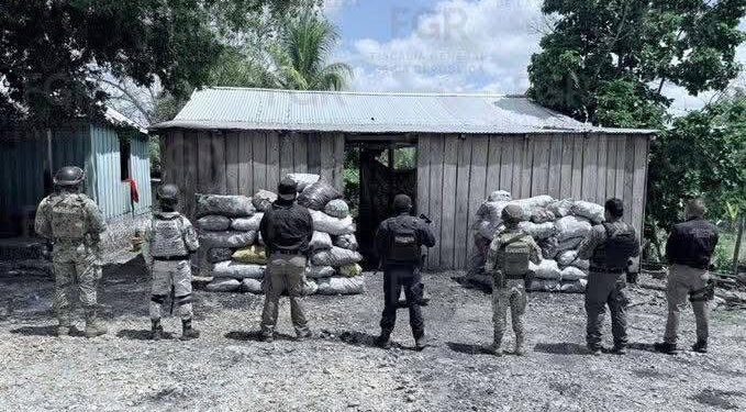 Así convierten la selva en carbón ilegal; autoridades aseguran más de 130 costales