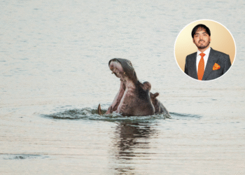 Hipopótamos de Escobar podrían emigrar a la India; heredero indio levanta la mano