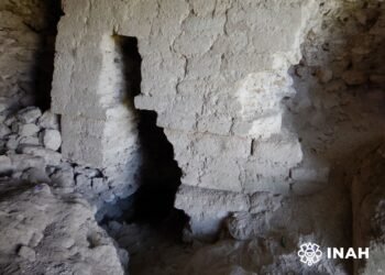 Registran nuevo sitio arqueológico maya en Quintana Roo. ¿Cómo es?