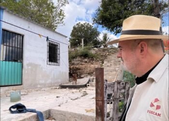 Rescatan a lomitos en abandono; Fiscalía abre proceso penal