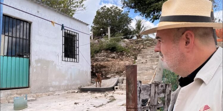 Rescatan a lomitos en abandono; Fiscalía abre proceso penal