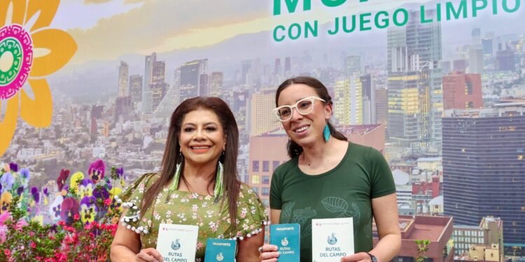 Sin clases y a home office: esto proponen en la CDMX por el Mundial