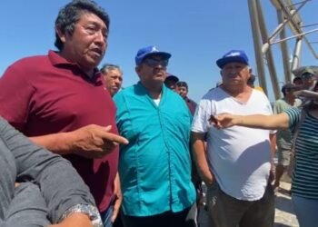 ¿Qué está matando la pesca en Campeche? Pescadores alzan la voz