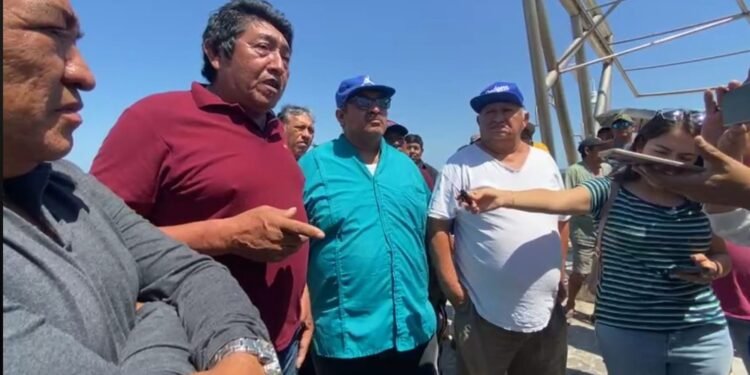 ¿Qué está matando la pesca en Campeche? Pescadores alzan la voz
