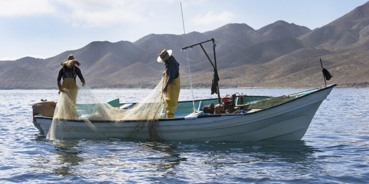 Derrame en el Golfo deja más de 3 mil pescadores afectados; recibirán apoyo