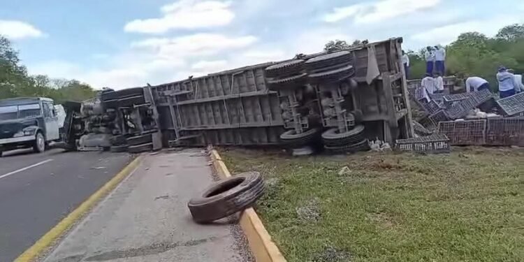 Tráiler cargado con miles pollos vuelca y paraliza tramo Mérida–Campeche