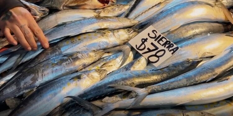 Profeco cierra operativo de Semana Santa con 11 suspensiones en el país