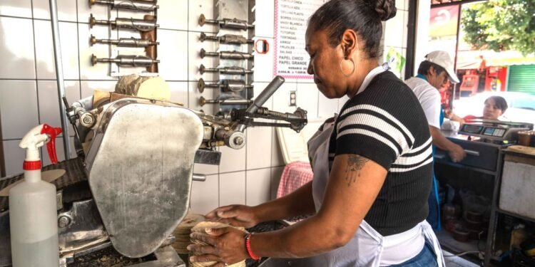 Borrador automático