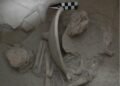 Urnas mayas revelan secretos de la vida y la muerte en Cansacbé