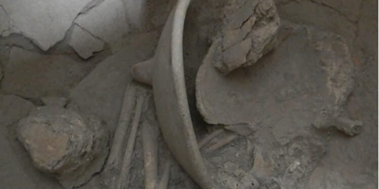 Urnas mayas revelan secretos de la vida y la muerte en Cansacbé