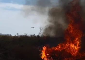 ¿Qué pasa en Arizona? fuego en Buckeye borra ecosistemas completos