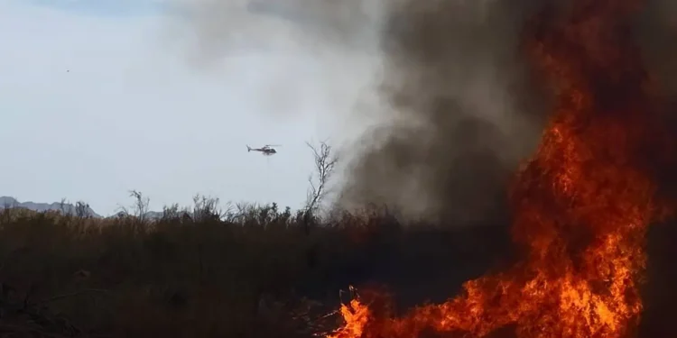 ¿Qué pasa en Arizona? fuego en Buckeye borra ecosistemas completos