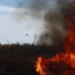 ¿Qué pasa en Arizona? fuego en Buckeye borra ecosistemas completos