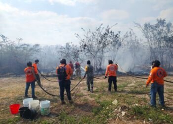 Campeche bajo humo: incendio de maleza amenaza fraccionamientos y desata operativo masivo