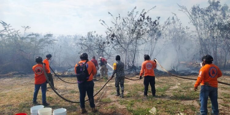 Campeche bajo humo: incendio de maleza amenaza fraccionamientos y desata operativo masivo