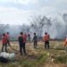 Campeche bajo humo: incendio de maleza amenaza fraccionamientos y desata operativo masivo