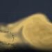 ¡Entérate! Una gran nube de polvo del Sahara llegará a Campeche, esto pasaría