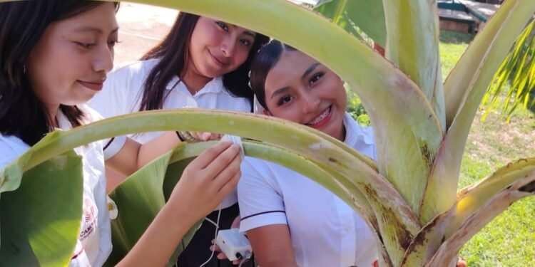 ¿Plantas que hacen música y un guante traductor? Estudiantes de Calkiní sorprenden con innovadora tecnología