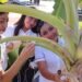 ¿Plantas que hacen música y un guante traductor? Estudiantes de Calkiní sorprenden con innovadora tecnología