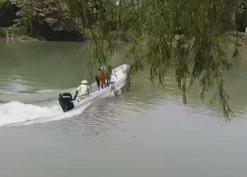 Tradición en Campeche: “Pajarito” navega por el río y roba miradas en Palizada