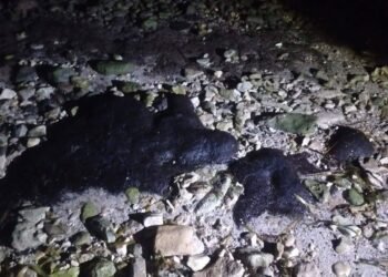 Turismo retrocede en Campeche tras polémica por hidrocarburos