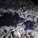 Turismo retrocede en Campeche tras polémica por hidrocarburos