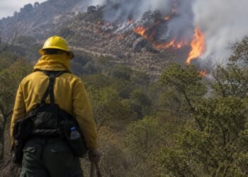 El fuego no cede en México; estos son los estados más afectados por incendios