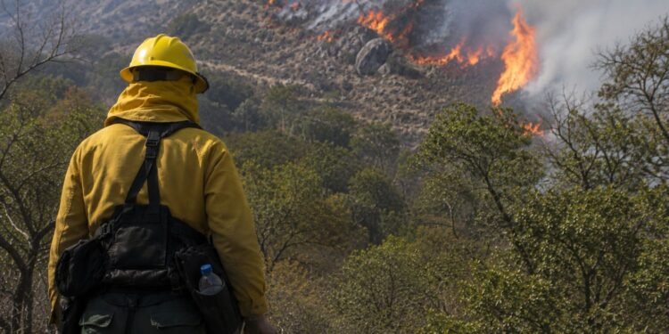 El fuego no cede en México; estos son los estados más afectados por incendios