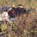 ¿Qué buscan en Kobén? Intenso despliegue revive caso de desaparición