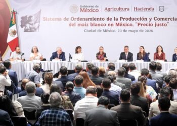Gobierno lanza “Precio Justo” para blindar al maíz mexicano. Este es el nuevo plan