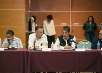 ¿Puede la energía solar convertirse en el nuevo motor económico? Esto dice Sedeco