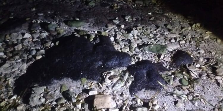 ¿Crisis ambiental en Campeche? Marea negra amenaza Champotón y esto es lo que se sabe