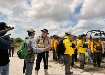 Red Sur-Sureste fortalece búsqueda de desaparecidos; Yucatán y Campeche logran 10 localizaciones