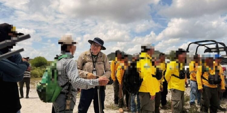 Red Sur-Sureste fortalece búsqueda de desaparecidos; Yucatán y Campeche logran 10 localizaciones