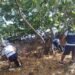 Campeche limpia su cara al mar; retiran más de 136 kilos de residuos
