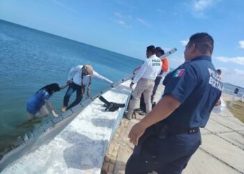 ¡Al agua! Turista cae al mar en pleno malecón