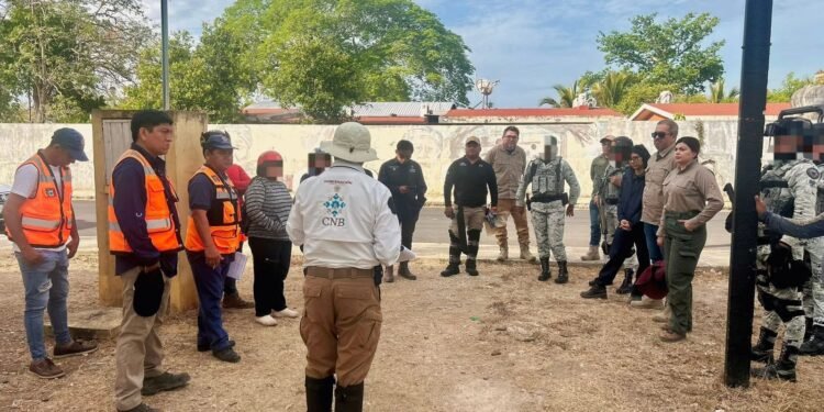 Operativo de búsqueda sacude Tankuhé; rastrean a persona desaparecida en Yucatán