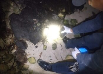 ¿Mancha negra en el Golfo? Greenpeace denuncia encubrimiento de Pemex por derrame que golpea costas de Campeche