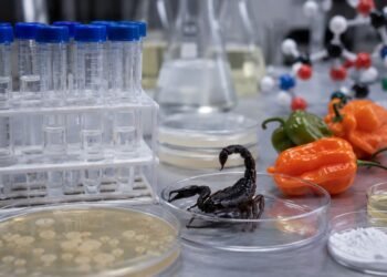 Un alacrán y chile habanero entraron al laboratorio… y esto descubrieron