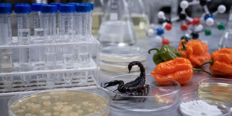 Un alacrán y chile habanero entraron al laboratorio… y esto descubrieron