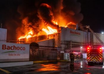 Incendio en planta de Bachoco: controlan el fuego, pero crece la incógnita sobre el destino de las aves