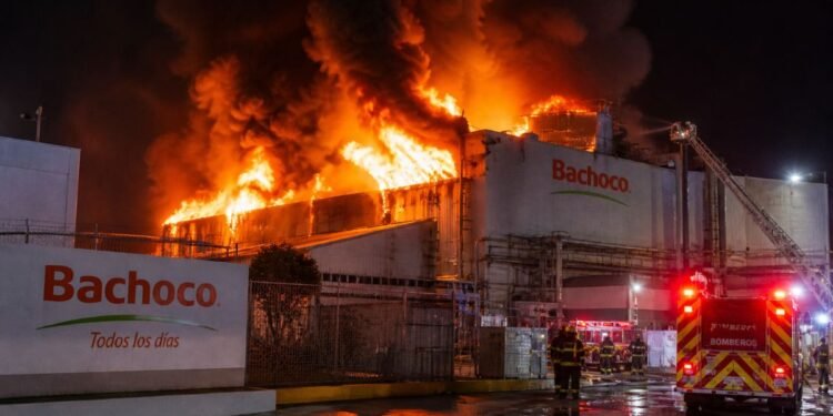 Incendio en planta de Bachoco: controlan el fuego, pero crece la incógnita sobre el destino de las aves
